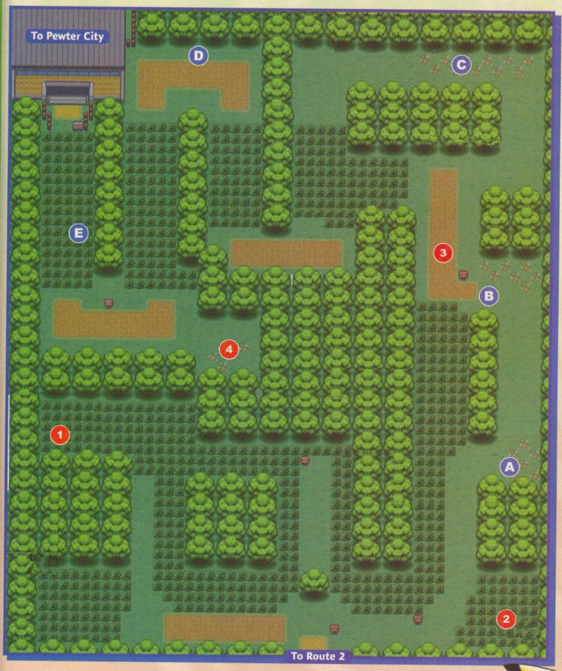 Viridian Forest